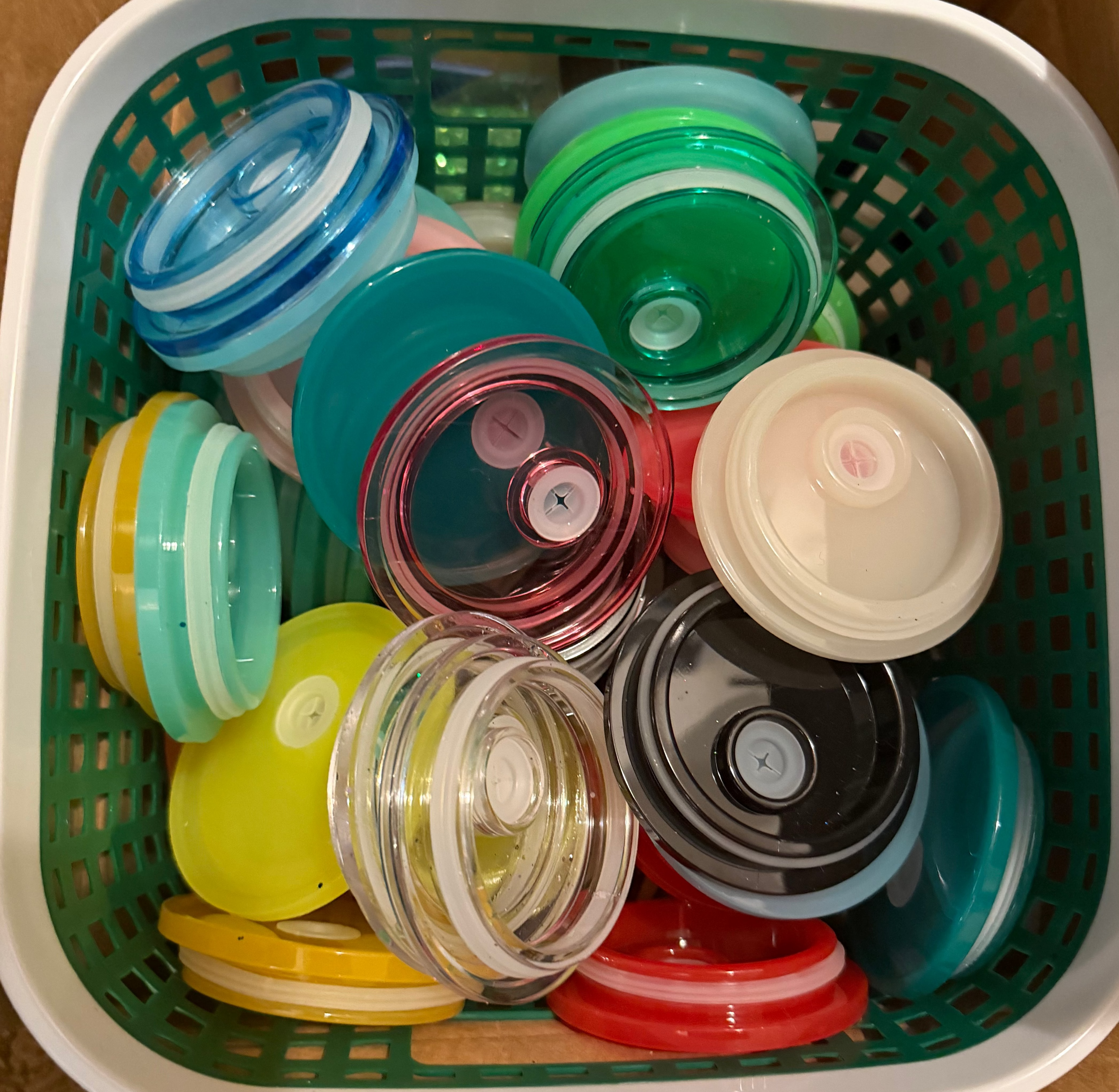 16 Oz Colored Lid
