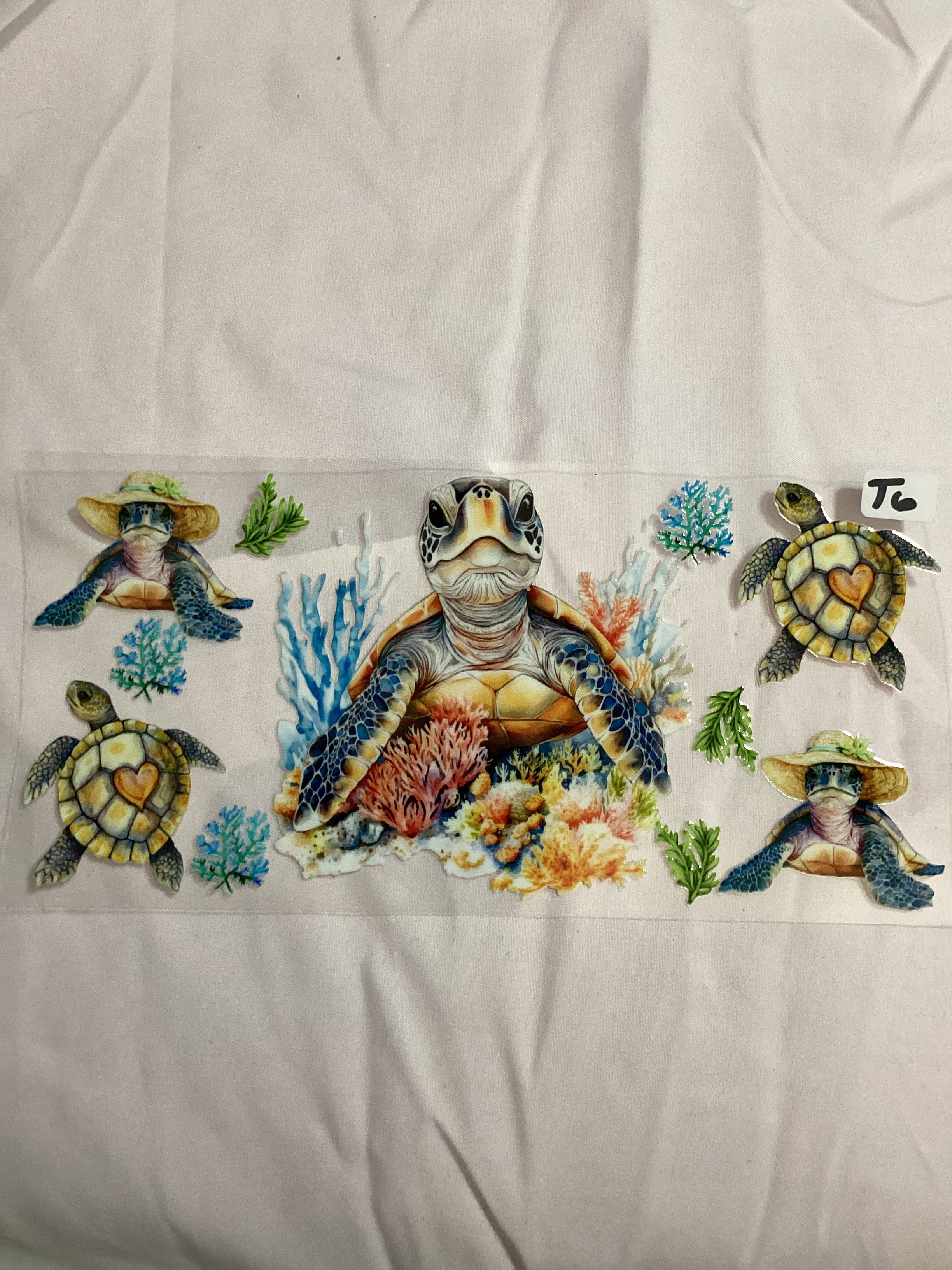 TURTLE #T6