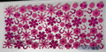 FLOWER #317