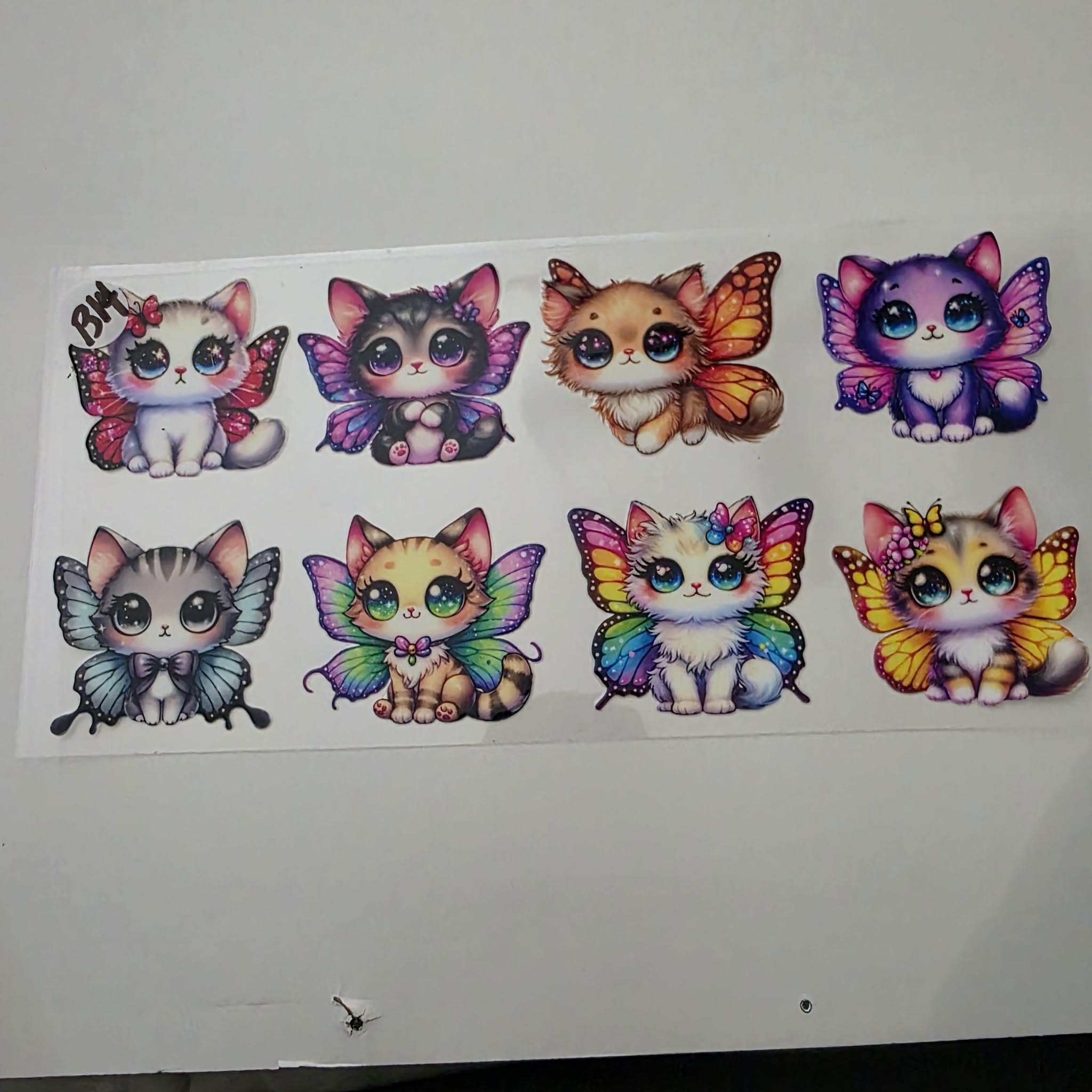 ANIMALS B14