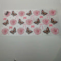 ANIMAL BB44