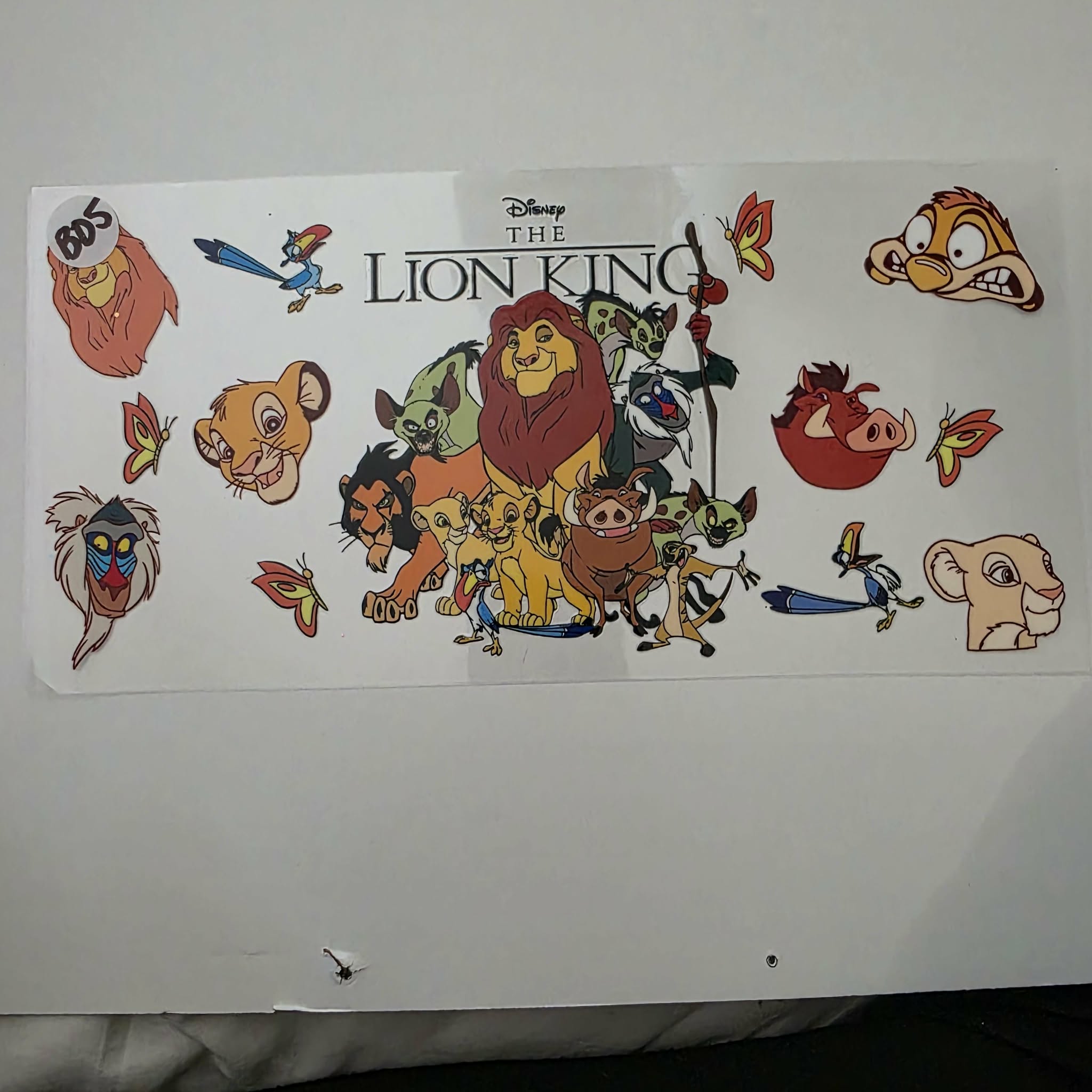 DISNEY B05