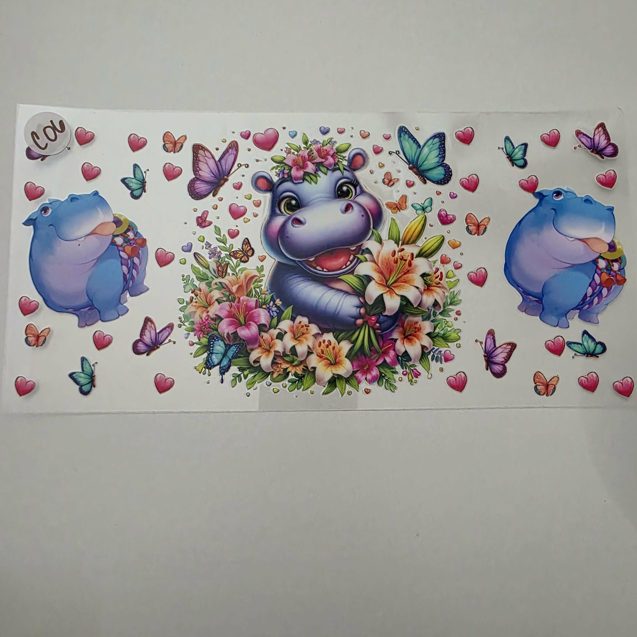 ANIMAL C06